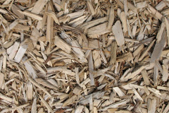 biomass boilers Tregamere